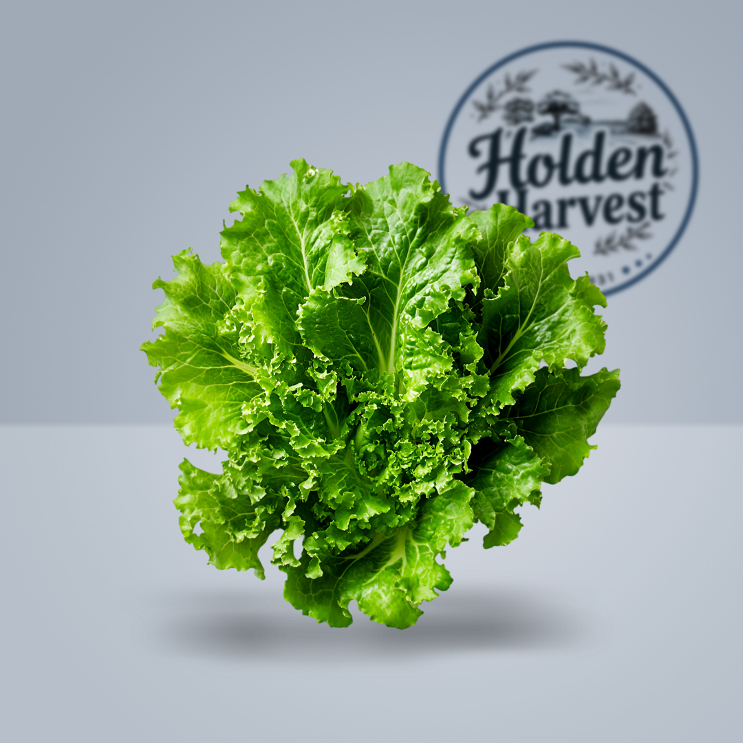 Kale 